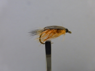 Size 16 Shrimp orange